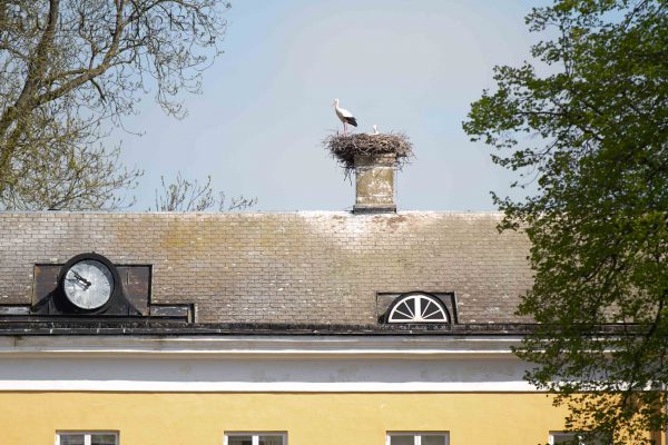 The stork is everywhere at Flyinge