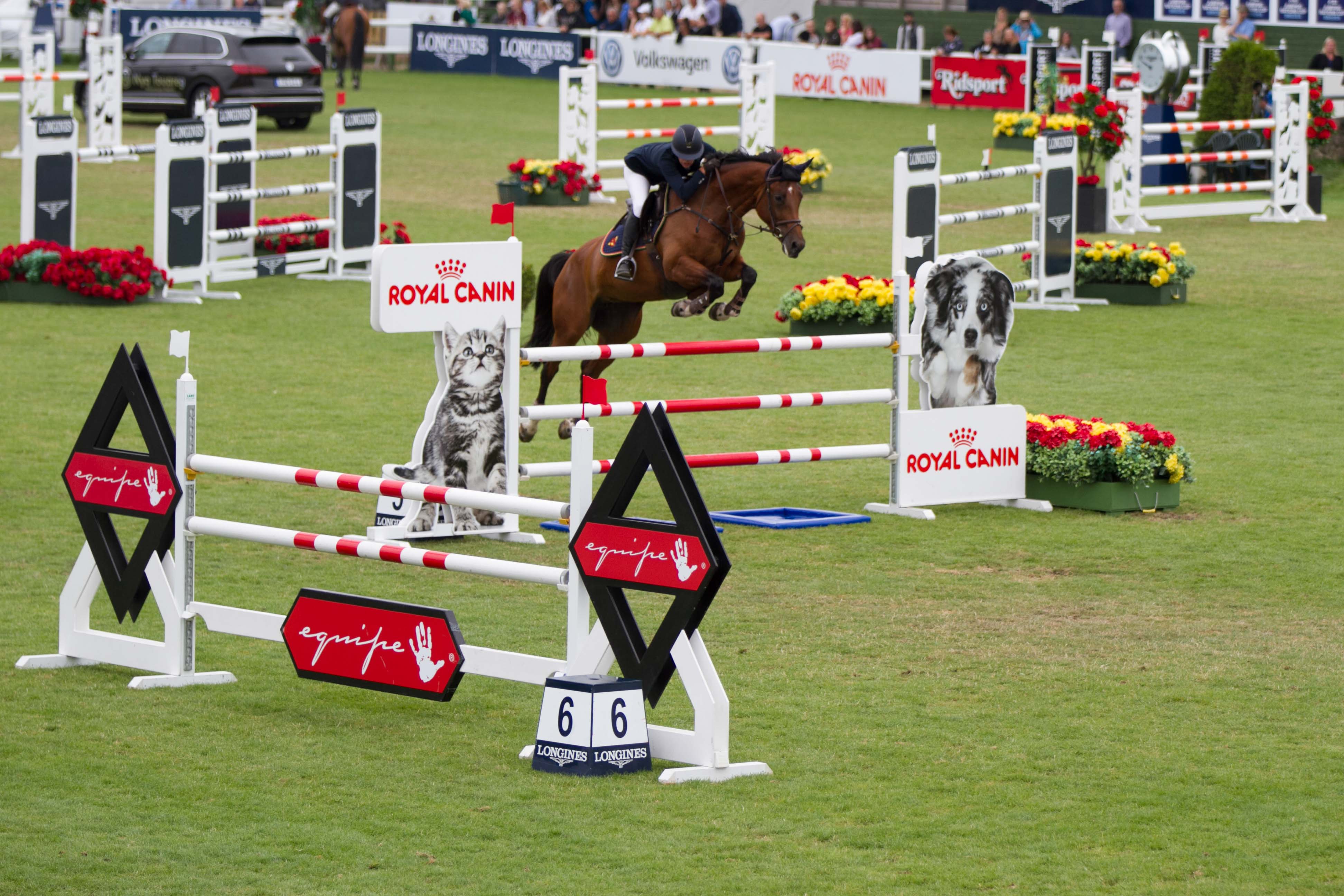 The jumping horses show good results Tullstorp Dressage Stable