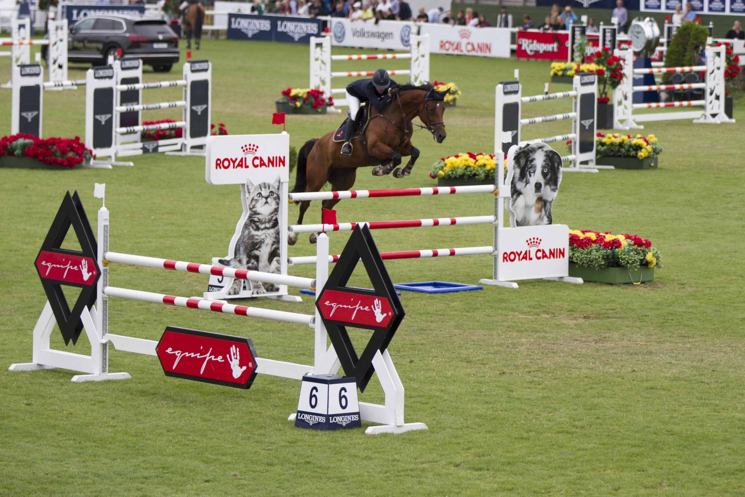 China con Kannan clear round and victory - Tullstorp Dressage Stable