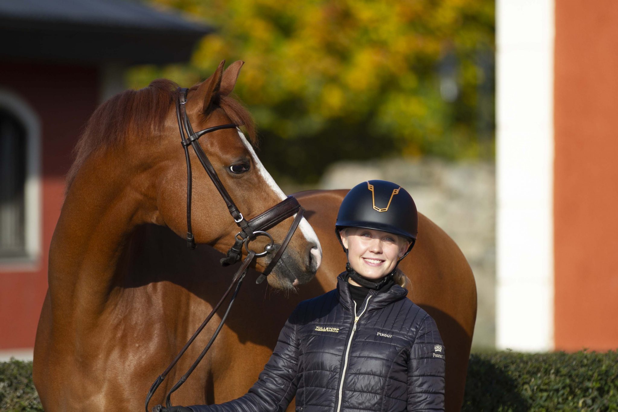 TEAM - JESSIE JOHANSSON - Tullstorp Dressage Stable