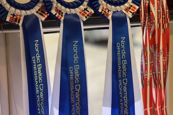 3 Nordic Baltic Championship silver medals