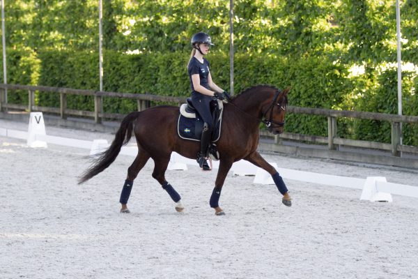 0823@catharinabrink