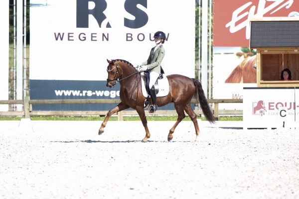 0941@catharinabrink