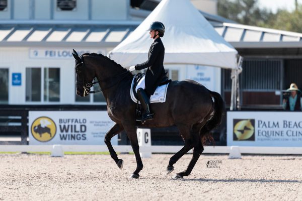 Rebecca Cohen & Eclips