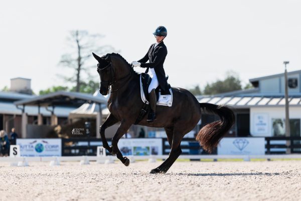 Rebecca Cohen & Eclips