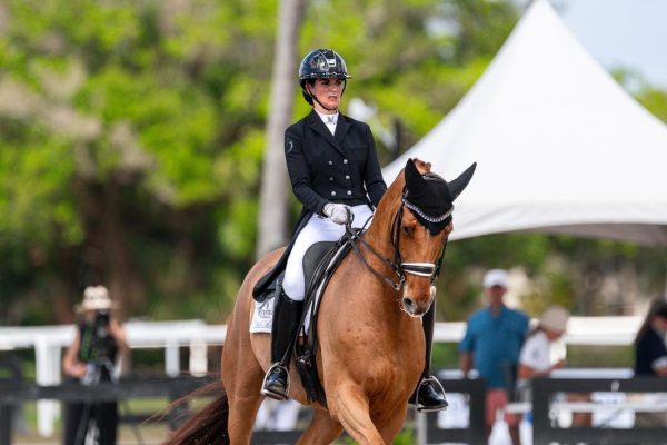 Rebecca Cohen & Fidell