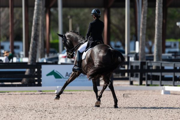 Rebecca Cohen & Eclips