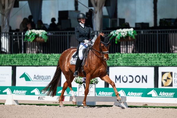 da695797-969c-4607-8f84-26de86f628c5