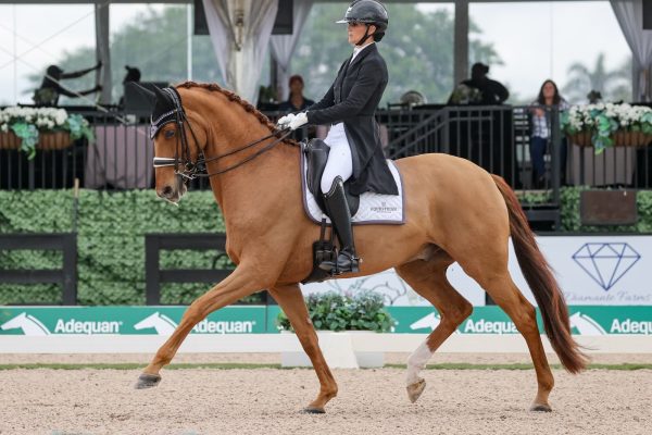 04ac0711-db8a-4b51-9343-8593399c89dc